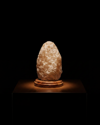 SLOGAN SALT