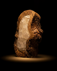 NATURES CORE
