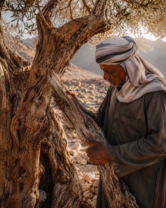 Selecting Olive Wood